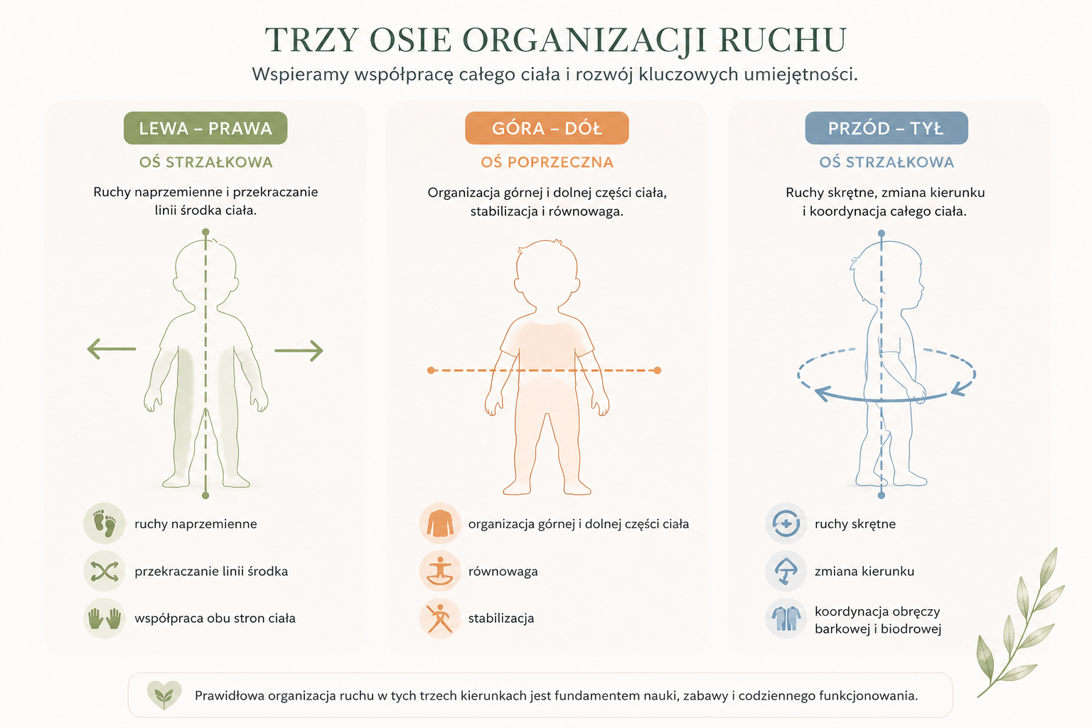 Trzy osie organizacji ruchu